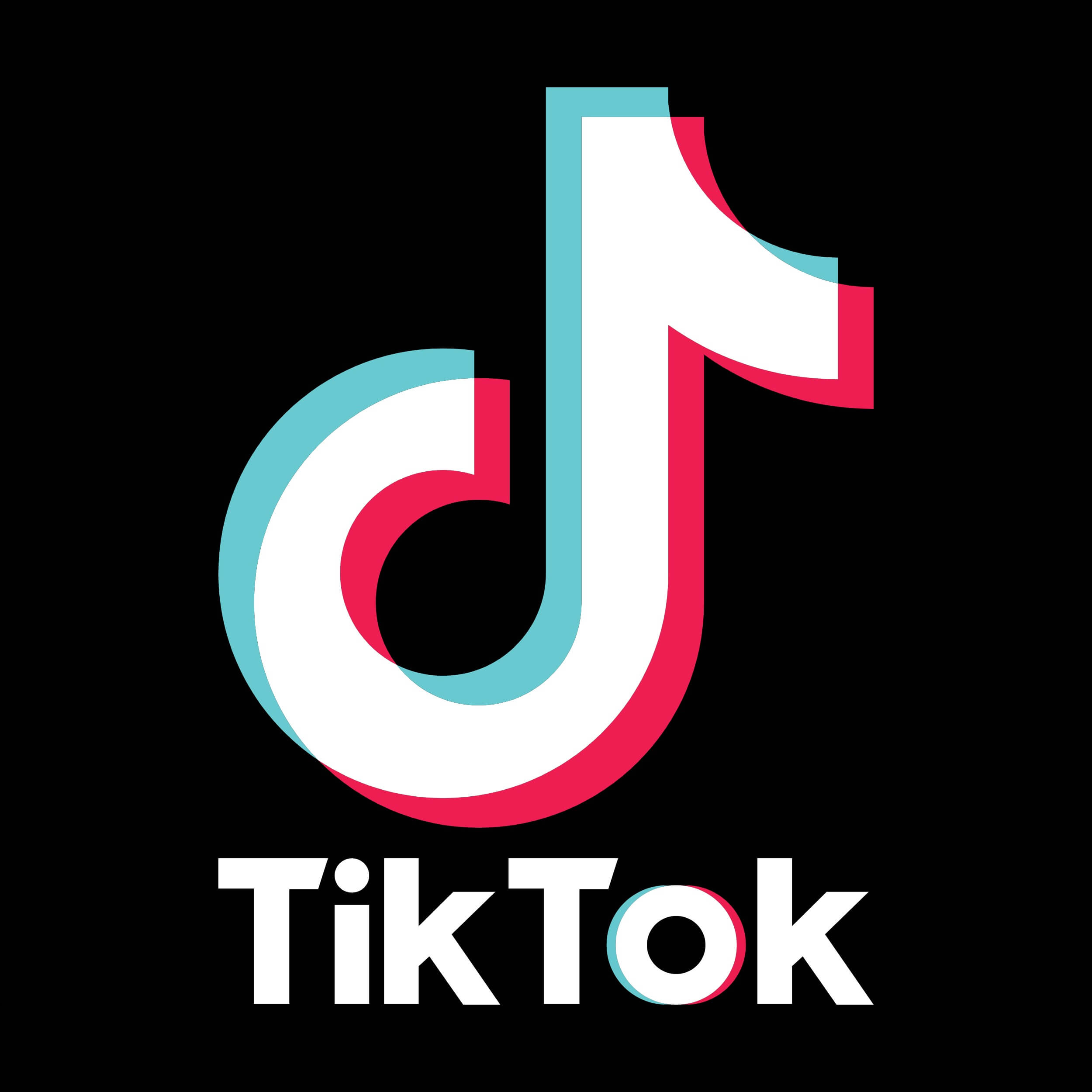 TikTok Mod Logo